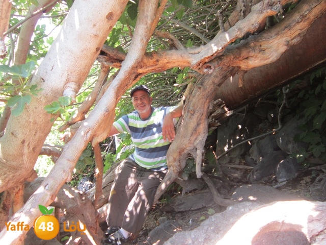 aqsa re7al 622 (35).JPG